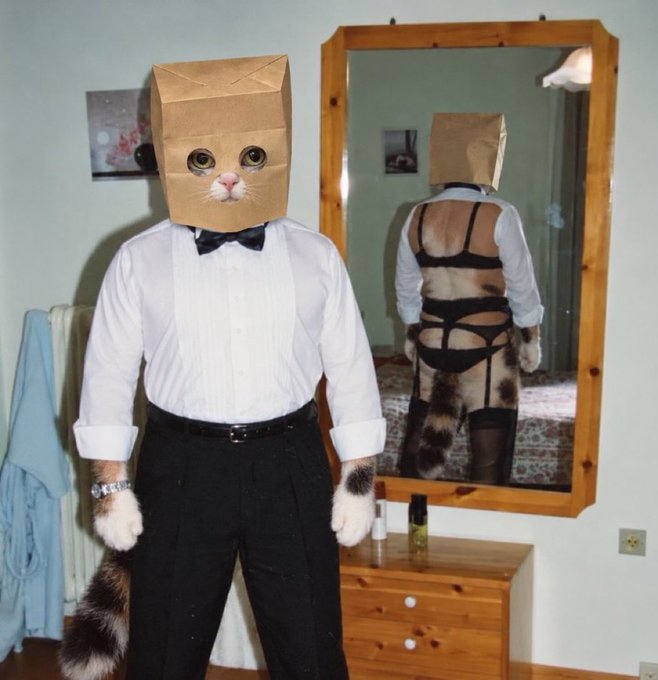 A humorous and surreal photo of a cat dressed in a white tuxedo shirt, black bow tie, and black trousers, wearing a brown paper bag over its head, standing in front of a mirror that reflects its reflection wearing lingerie.