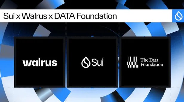 A graphic displaying 'Sui x Walrus x DATA Foundation' with three black square logos for walrus, Sui, and The Data Foundation against a dark blue geometric background.