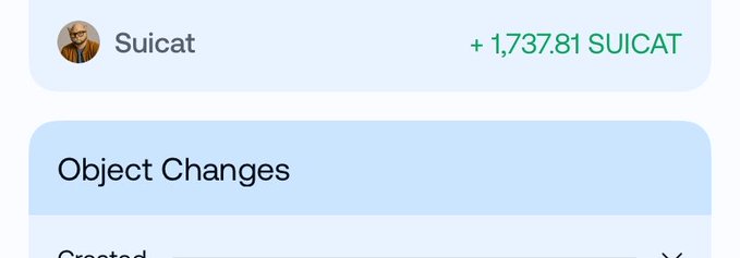 A screenshot shows a transaction record for "Suicat" with "+ 1,737.81 SUICAT" received, followed by an "Object Changes" section indicating a creation event, visually confirming the recent purchase of $SUICA tokens mentioned in the post.
