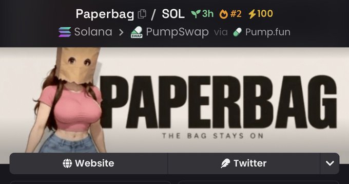 The image shows a PumpSwap token page for "Paperbag" ($Paperbag) on Solana via Pump.fun, displaying stats like 3h age, rank #2, and 100 energy, with a banner featuring a woman wearing a paper bag on her head and the tagline "PAPERBAG - THE BAG STAYS ON." The accompanying post celebrates the token's viral momentum and 3X gains, tying into the meme's humorous imagery and the crypto contract address provided.
