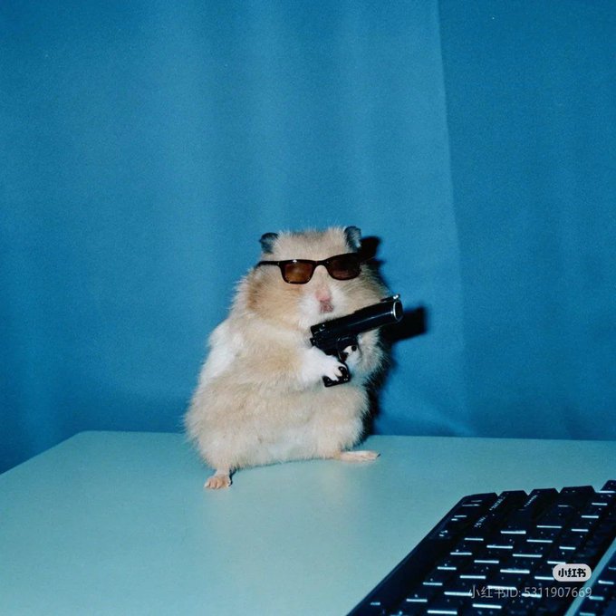 A humorous photo of a fluffy hamster wearing sunglasses and holding a small black handgun, standing on a surface next to a black computer keyboard against a blue background, with a '小红书' (Xiaohongshu) watermark.