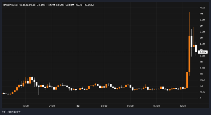 A TradingView candlestick chart of **BNBCAT/BNB** displaying a dramatic breakout, with price surging from around 1M to a peak near 7M before pulling back to 3.84M (+13.66% on the day). The sharp vertical spike at the right end of the chart visually reinforces the post's claim of a "7x" gain and suggests further upside momentum, consistent with the "cat szn" hype.