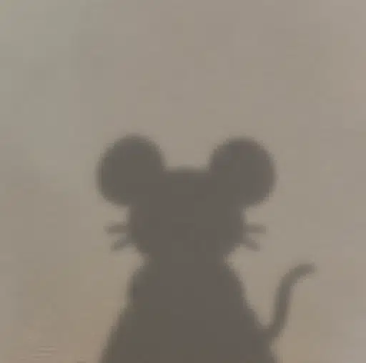 A blurry silhouette of a mouse or rat is shown against a plain background, humorously illustrating the post's joke that "the best $XMR runner doesn't even have a ticker"—since the animal "runner" (rodent) is associated with the cryptocurrency ticker Monero ($XMR).