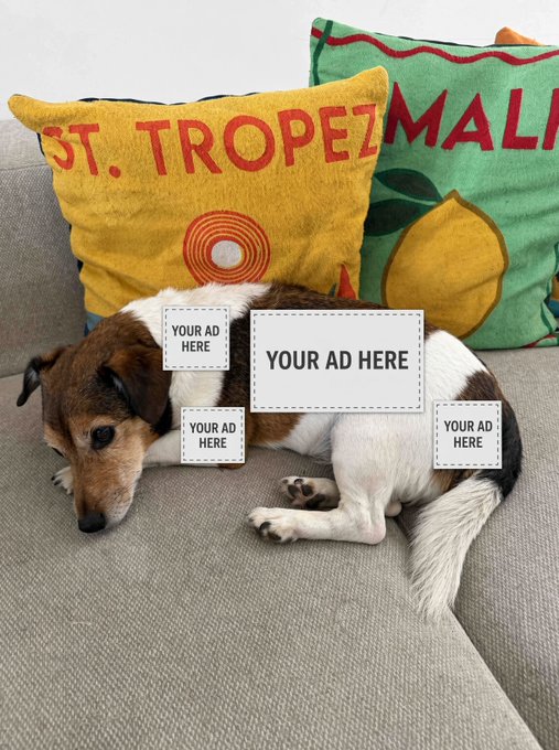 A Jack Russell terrier lies on a couch between two decorative pillows ('ST. TROPEZ' and a lemon design) with 'YOUR AD HERE' placeholder boxes overlaid on the image.