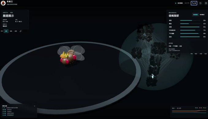 A dark-themed 3D visualization interface titled "#果蝇王" displays a cute, cartoonish fruit fly character with translucent wings on the left, alongside a complex network graph with adjustable parameters on the right. The interface shows an "魔镜展示" panel with metrics and a "玻璃面轴" control panel with percentage settings, suggesting an interactive data visualization product or platform.
