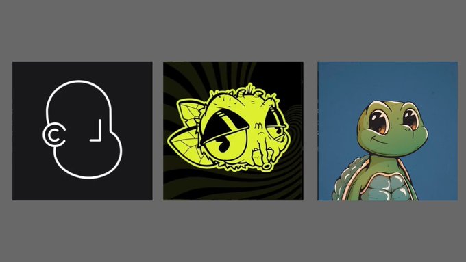 The image features three cartoon animal heads, each with a different color scheme - yellow, black, and blue. The first head has a yellow face with a black nose and mouth, the second head has a black face with a yellow nose and mouth, and the third head is green with a yellow face and black nose and mouth. The image also includes text that reads "The 3 most important projects you must type."