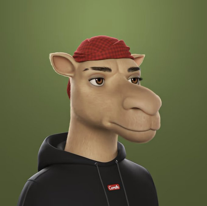 3D render of an anthropomorphic camel character wearing a red bandana and a black hoodie with a 'Camels' logo patch on the chest.