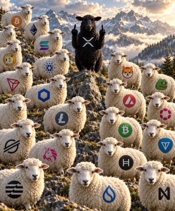 A humorous image of numerous sheep with various cryptocurrency logos superimposed on them, including Bitcoin, Ethereum, Dogecoin, and XRP, gathered in a mountainous landscape with a black sheep in the center making a gesture.
