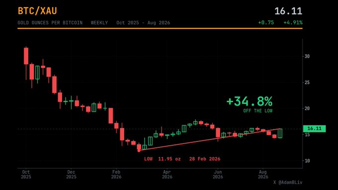 A weekly candlestick chart of BTC/XAU (Gold Ounces per Bitcoin) from Oct 2025 to Aug 2026, showing a current value of 16.11 (+4.91%), with a low of 11.95 oz on Feb 28, 2026, representing a +34.8% gain off the low.