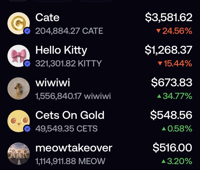 A cryptocurrency tracker interface showing meme tokens including Cate ($3,581.62, down 24.56%), Hello Kitty ($1,268.37, down 15.44%), wiiwiwi ($673.83, up 34.77%), Cets On Gold ($548.56, up 0.58%), and meowtakeover ($516.00, up 3.20%) with their respective holdings.