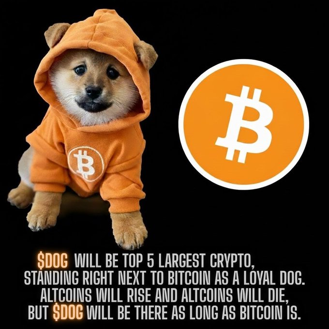 The image features a small dog wearing an orange hoodie with the Bitcoin symbol, sitting or standing next to a black background. The caption below the image reads "I think $DOG ends up top 5. That's a crazy amount of X from now." This suggests that the dog is associated with Bitcoin and its value in the future.