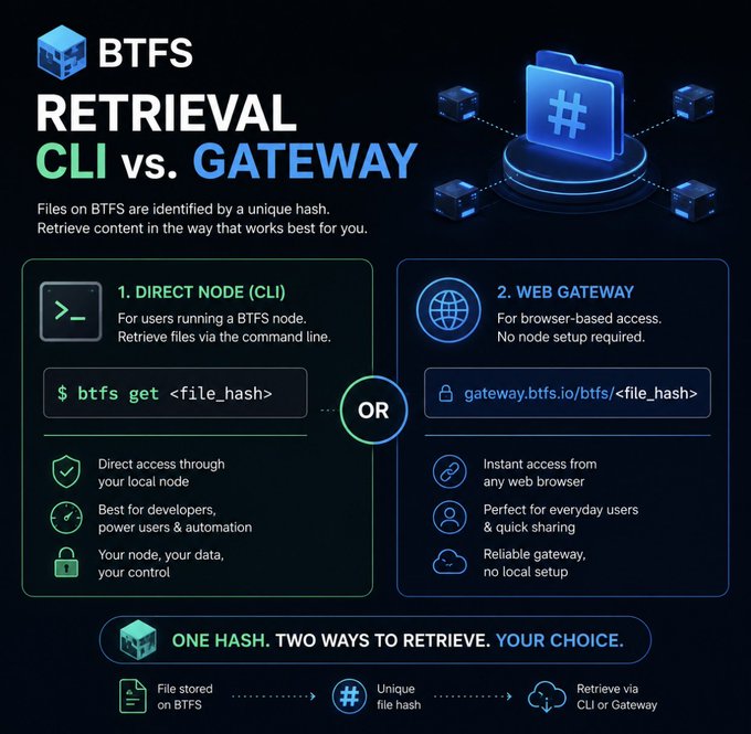 The image illustrates BTFS content retrieval, showing two methods: a CLI option using the command `btfs get <file_hash>` for direct node access, and a web gateway option via gateway.btfs.io/btfs/<file_hash> for browser-based access, both utilizing a unique file hash to retrieve stored content.