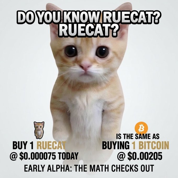A meme image of an orange kitten with the text 'DO YOU KNOW RUECAT?' and comparing buying '1 RUECAT @ $0.000075' to 'BUYING 1 BITCOIN @ $0.00205'.