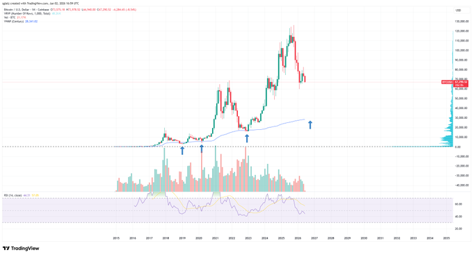 The image features a graph with Bitcoin's all-timeVWAP (Volatility Wachowitz Auger Potential) going down at some point, indicating a bear market. The text from the image includes an analysis that compares this bear market to another in the past and suggests investing based on its previous performance as it has been referred to as "all-time VWAP".