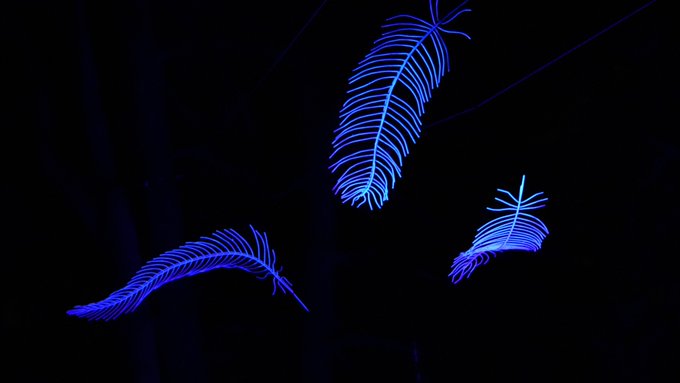 A dark image showing three glowing blue neon-style feather or leaf-shaped light decorations against a black background.