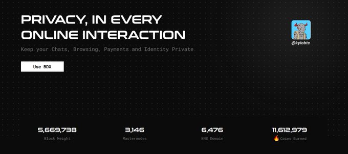 A promotional banner for BDX (@sky0btc) stating 'PRIVACY, IN EVERY ONLINE INTERACTION', with stats showing Block Height 5,669,738, 3,146 Masternodes, 6,476 BNS Domain, and 11,612,979 Coins Burned.