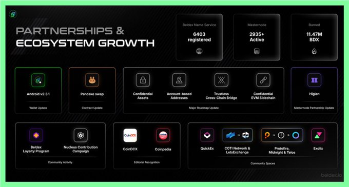 A dark-themed dashboard titled 'PARTNERSHIPS & ECOSYSTEM GROWTH' from beldex.io, displaying statistics (6403 Beldex Name Service registered, 2935+ MasterNodes Active, 11.47M BDX Burned) and icons for community activities like Pancake swap, Confidential Assets, Cross-Chain Bridge, and Higlan.