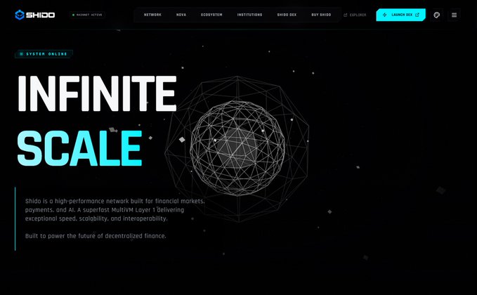Screenshot of the Shido 'INFINITE SCALE' webpage describing it as a 'high-performance network built for financial markets, payments, and AI' with navigation links for NETWORK, NOVA, ECOSYSTEM, INSTITUTIONS, SHIDO DEX, and BUY SHIDO.