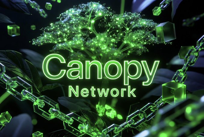 A glowing green digital illustration of a tree with the neon text 'Canopy Network' overlaid, surrounded by floating cubes and a chain in a dark, futuristic setting.