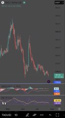 A TradingView chart displays the TAO/USD pair (Bittensor) showing a sharp decline from highs near $445 down to $191, with the price action visually corroborating the post's claim that sellers near $191 served as exit liquidity before a rebound attempt near the halving-driven support level.