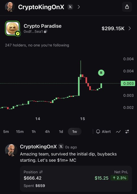 A screenshot of a CryptoKingOnX post showing the "Crypto Paradise" token (contract 0xdf...5ea1) at $299.15K market cap with a weekly candlestick chart highlighting a recent pump and correction, paired with the caption announcing survival of the initial volatility, noting $300K MC and a $2M+ target. The chart visually supports the post's narrative of an early pump-and-dip pattern following launch.