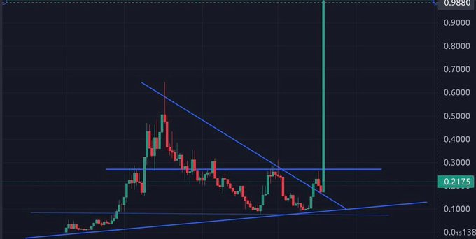 A crypto/stock candlestick chart showing a price currently at 0.2175 (down from a high near 0.9880), with technical analysis lines drawn including a descending triangle pattern, a horizontal support/resistance line, and an ascending trendline from the lows, suggesting the post is highlighting a low-priced, volatile asset as a potential 100X candidate.