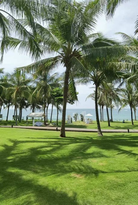 A tropical beach scene with palm trees casting shadows on a green lawn, overlooking the ocean with small white gazebos in the distance.

The image shows a serene beachfront with lush palm trees and a calm ocean, which contrasts with the post's focus on DeFi and order layers—the relaxed tropical setting serves as a visual backdrop for promoting TermMaxFi's unified credit and options platform.