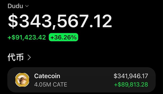 A portfolio screenshot shows "Dudu" with a total balance of **$343,567.12**, up **+$91,423.42 (+36.26%)**, driven by a **4.05M CATE** position in **Catecoin** worth **$341,946.17** (+$89,813.28). The image illustrates the accompanying post's claim of passively earning over $90,000 from holding $CATE without any active trading.