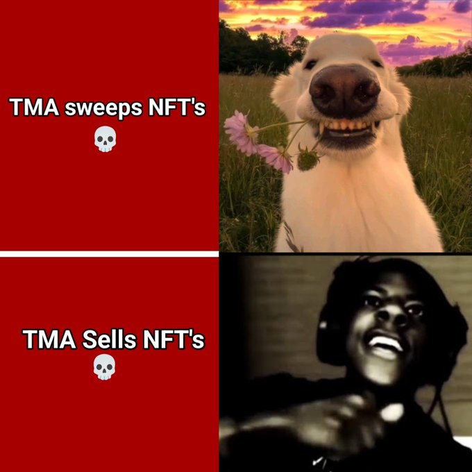 A two-panel meme: the top shows a smiling dog holding a flower with text "TMA sweeps NFT's 💀", and the bottom shows a laughing black-and-white image of a man with text "TMA Sells NFT's 💀".