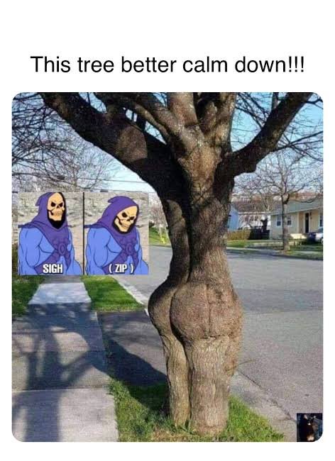 A meme showing a tree with unusually large, bulging trunk growths, captioned 'This tree better calm down!!!' with an inset image of Skeletor characters sighing and zipping up.