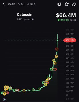The image shows a price chart for Catecoin ($CATE), titled "Catecoin" with a current market cap displayed as $66.4M, marking a 243.39% gain over 24 hours. The chart visually confirms the post's claim, illustrating the dramatic market cap growth from approximately $5k–$10k (visible on the left) to $66M (shown on the right), aligning with the narrative of a massive pump.