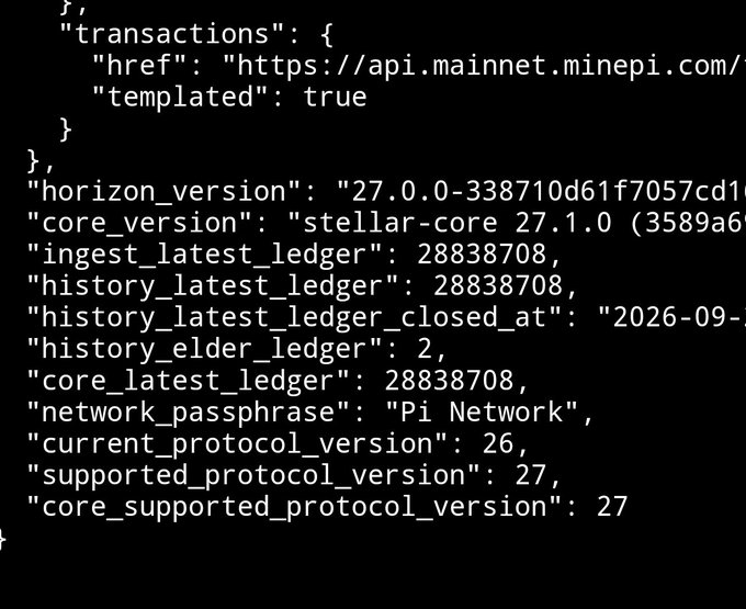 A code snippet displaying Pi Network API information including horizon_version '27.0.0', core_version 'stellar-core 27.1.0', latest ledger '28838708', and network_passphrase 'Pi Network'.