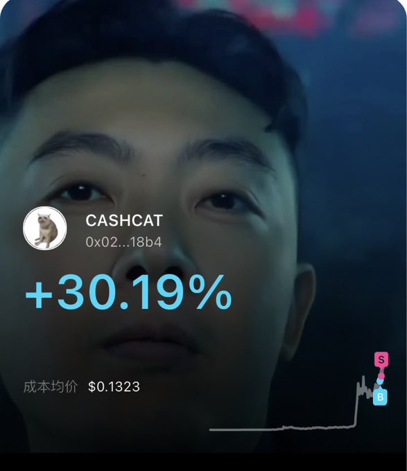 A crypto portfolio card showing token 'CASHCAT' (0x02...18b4) with a +30.19% gain, an average cost of $0.1323, overlaid on a close-up of an East Asian man's face.
