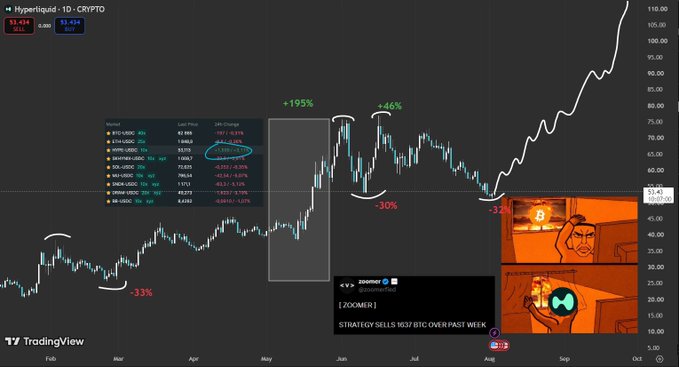 The image is a TradingView chart of **Hyperliquid (HYPE/USDC)** on the 1-day timeframe, showing a "Feb–June rally round 2" pattern with comparable drawdowns (-33% and -30%) and surges (+195% and +45%) followed by a sharp breakout toward $100, accompanied by a Zoomer tweet stating "STRATEGY SELLS 1037 BTC OVER PAST WEEK."