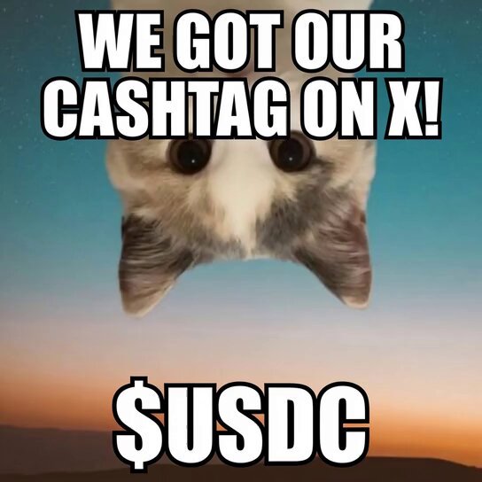 The image features a cat with its head hanging over the edge of a photo, looking up at the camera. Below the cat's head, there is text that reads "We got our cashtag on X!". The caption also includes an exclamation mark, indicating excitement or surprise about the situation.