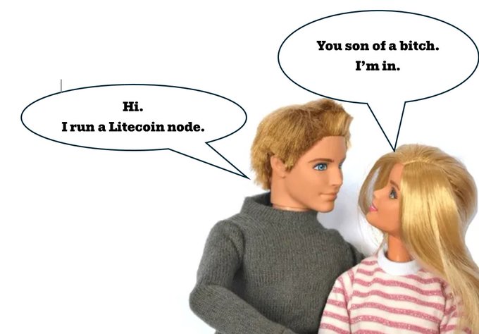The image is a meme featuring two Barbie-style dolls, with the male doll saying "Hi. I run a Litecoin node." and the female doll replying "You son of a bitch. I'm in." It humorously relates to the post's caption "How To Pick Up Chicks. Lesson #84." by joking that running a Litecoin node is a surprisingly effective conversation starter that earns instant approval from the woman.