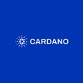 The Cardano logo with the word 'CARDANO' on a blue background.