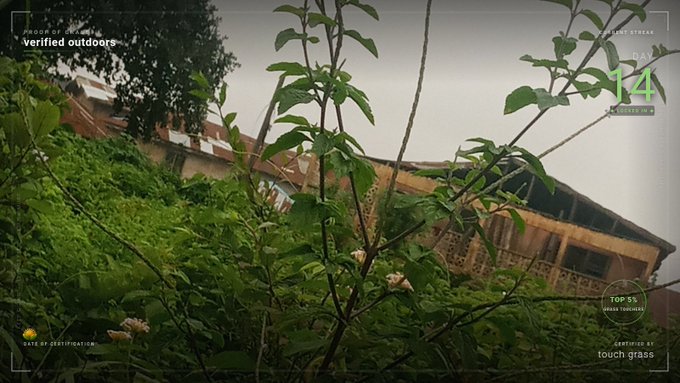 A low-angle shot captures green leafy plants and small white flowers in the foreground, with a building visible through the foliage under a hazy sky. The image is overlaid with UI elements including "PROOF OF GRASS," "verified outdoors," "DAY 14," "STREAK," "14," "A SERIES by X," "TOP 5% GRASS TOUCHERS," "DATE OF IDENTIFICATION," and "CERTIFIED AS touch grass," reinforcing the post's message of outdoor dedication as part of the Touch Grass streak challenge.