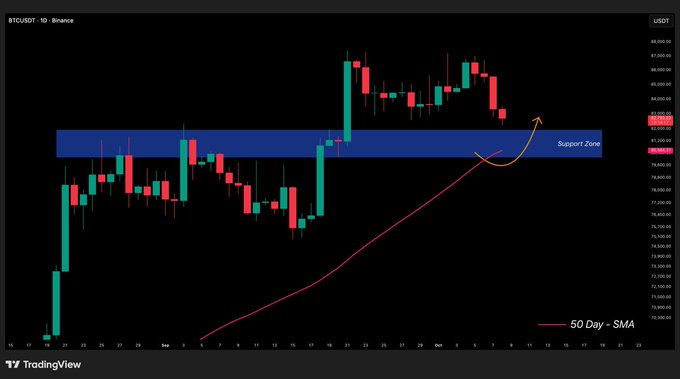 A financial chart displays the BTCUSDT trading pair on Binance using a candlestick format against a black background. A blue shaded area labeled "Support Zone" is marked, along with a red line indicating the "50 Day - SMA".