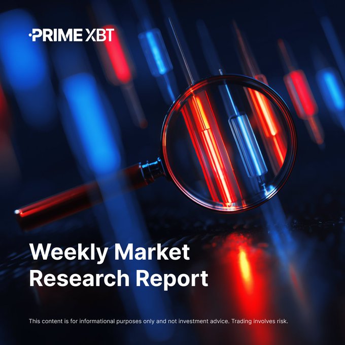 A PrimeXBT "Weekly Market Research Report" cover featuring a magnifying glass examining red and blue candlestick chart bars, with a disclaimer that the content is informational and not investment advice.