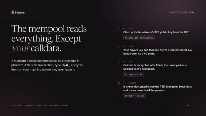 A dark-themed webpage explaining Seismic's encrypted calldata, with the heading 'The mempool reads everything. Except your calldata.' and code steps including seismic.getTeePublicKey, tx.Type = 0x44, and decrypt = CSTORE.