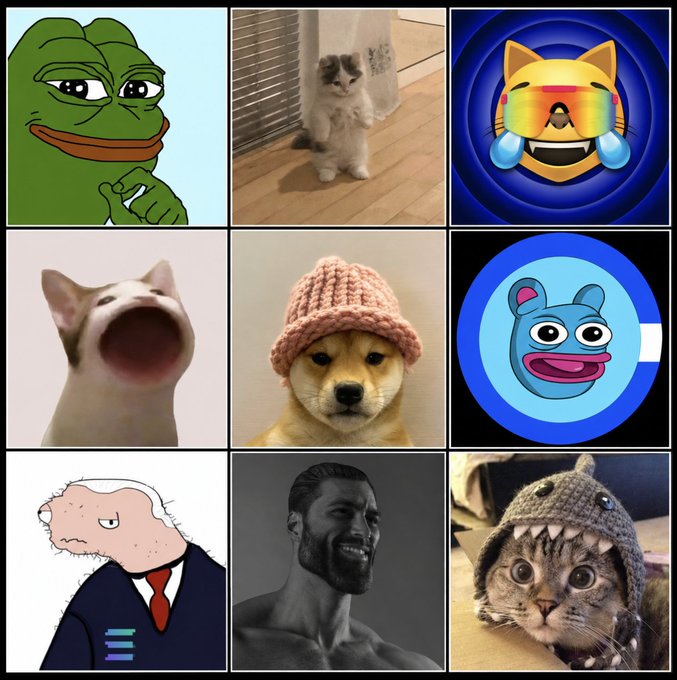 A 3x3 collage of internet meme images including Pepe the Frog, a cat, a crying cat emoji, a screaming dog, a dog in a pink beanie, a blue cartoon face, a suited cartoon character, a laughing muscular man, and a cat wearing a shark hat.