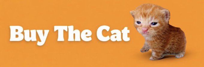An orange banner ad reading 'Buy The Cat' next to a photo of a small orange kitten.