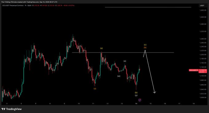 A TradingView chart of the ZECUSDT perpetual contract on Binance shows a bearish Elliott Wave count labeled (i) through (v) with a projected downward arrow from the recent swing high near 1,222, aligning with the post's stated $1,220 minimum downside target on the pump.