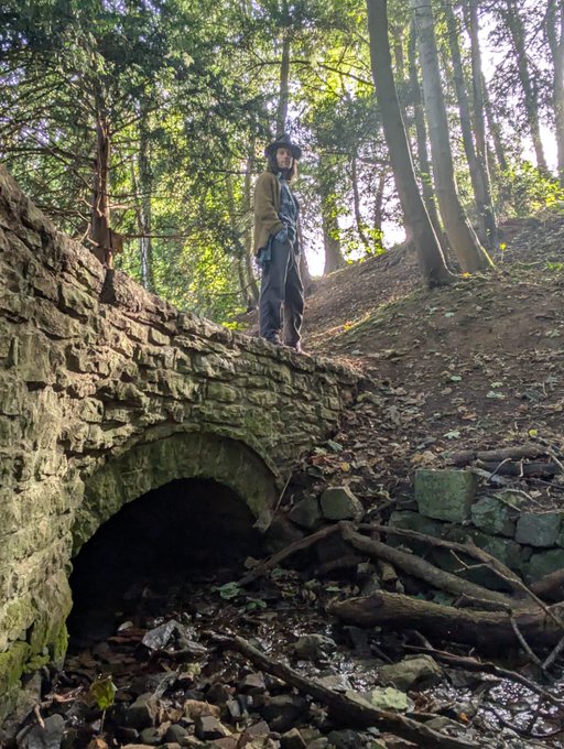 A person stands on an old stone bridge in a forest setting, with exposed tree roots and debris visible beneath the archway.