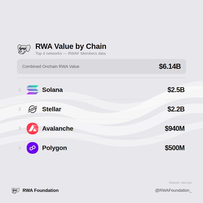 The image shows a chart comparing different RWA values by chain. The text "RWAF members value by chain" is presented at the top of the image, followed by the names of several logos representing RWA companies such as "solana", "Stellar Organization", and "avax". A legend or explanation is also provided to help understand what each logo stands for in relation to the RWA values. The background color of the image is gray with white lines, which create a sense of depth and complexity.