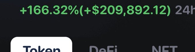 A screenshot showing a massive 24-hour gain of +166.32% (+$209,892.12) in green, with tabs labeled "Token," "DeFi," and "NFT" partially visible below. The image aligns with the poster's euphoric excitement about holding "$hmm" amid extraordinary price gains.