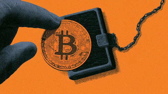 Illustration of a hand holding a Bitcoin coin against an orange background, depicting cryptocurrency in a stylized wallet context.