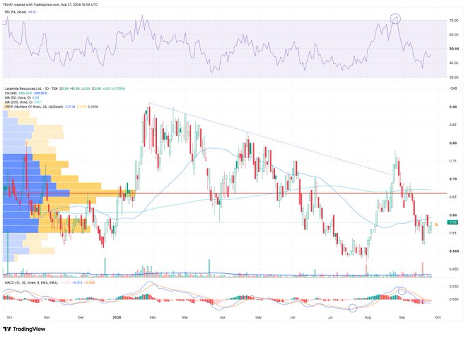 A TradingView chart for Levantis Resources Ltd (TSX:LVL) showing daily price action with MACD indicator, RSI, and volume profile overlays.