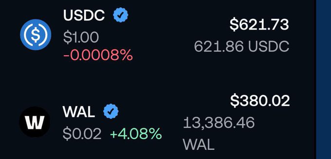 A crypto wallet interface displays holdings of USDC ($621.73, -0.0008%) and WAL ($380.02, +4.08%), showing 621.86 USDC and 13,386.46 WAL tokens—likely representing available capital the poster could deploy into the SUI trenches they mention "aping" into today.